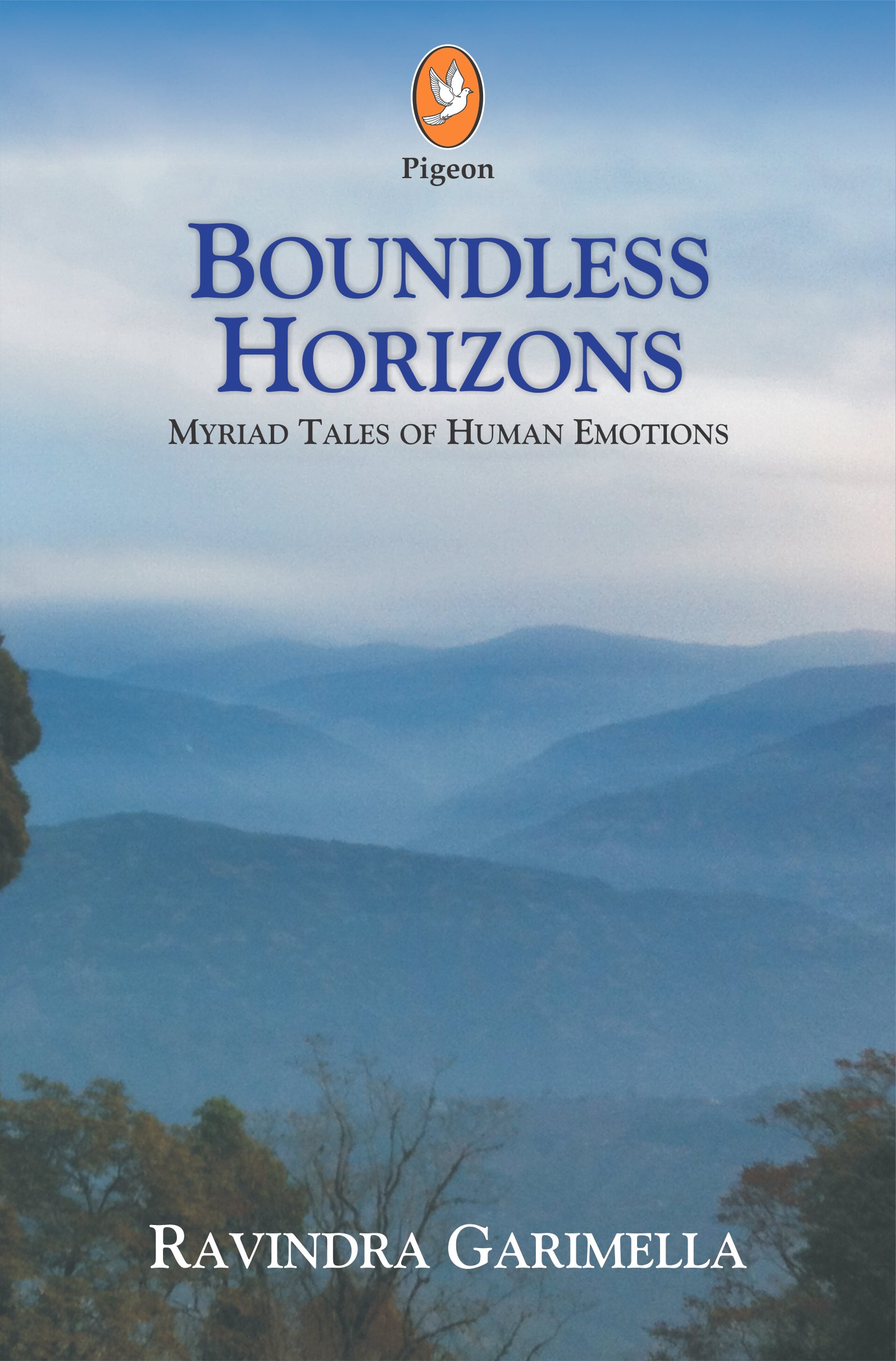 Cover of Boundless Horizons.