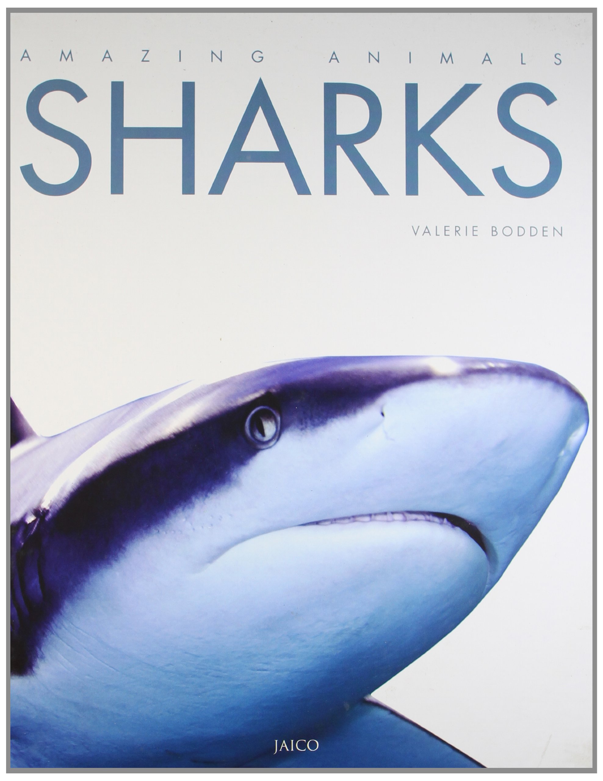SHARKS