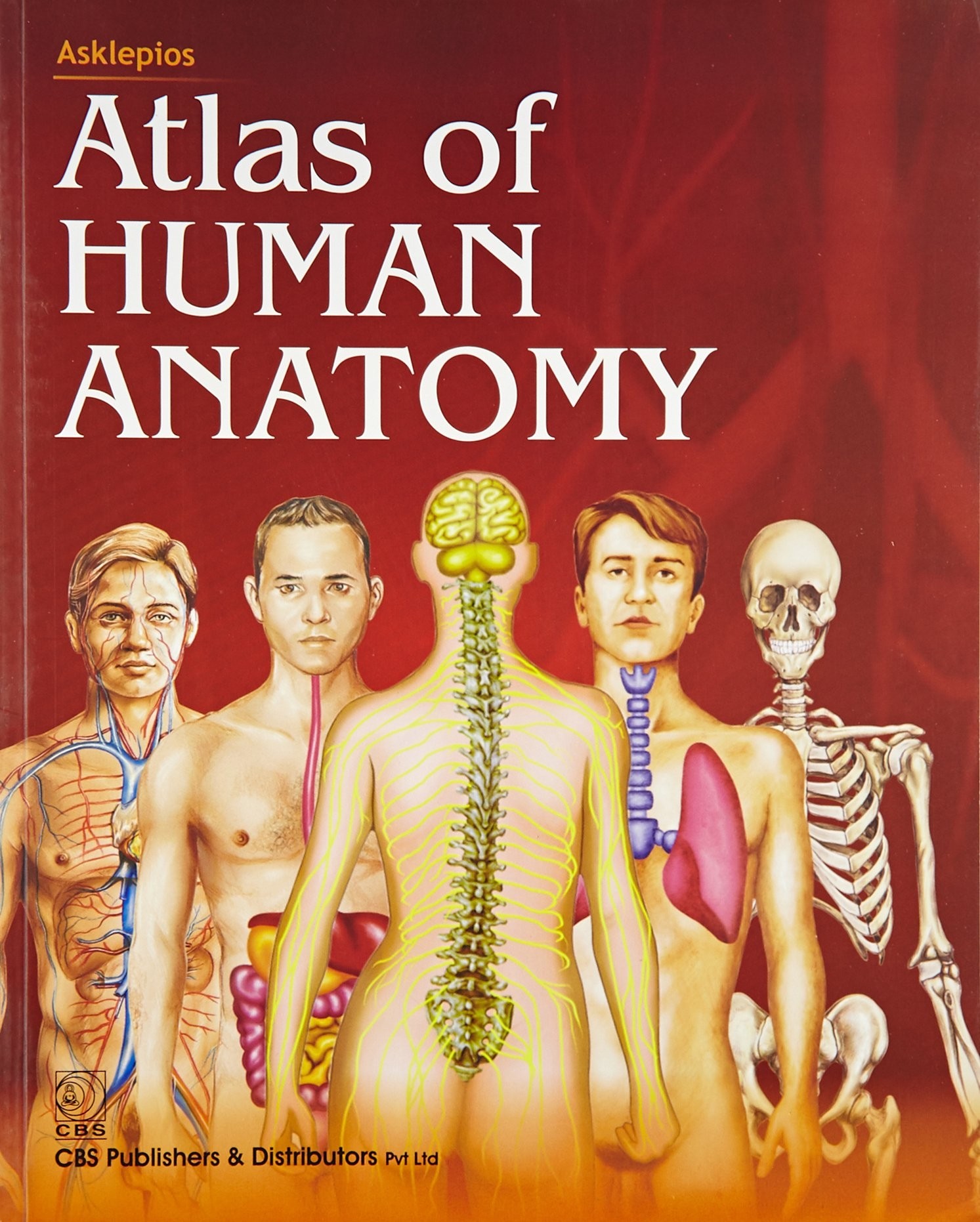 Cover of Asklepios Atlas Of Human Anatomy