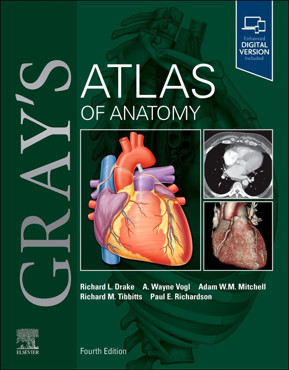Grays atlas of anatomy with access code 4ed (pb 2026)