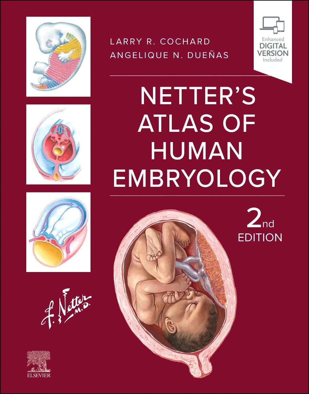 Netters atlas of human embryology with access code 2ed (pb 2025)