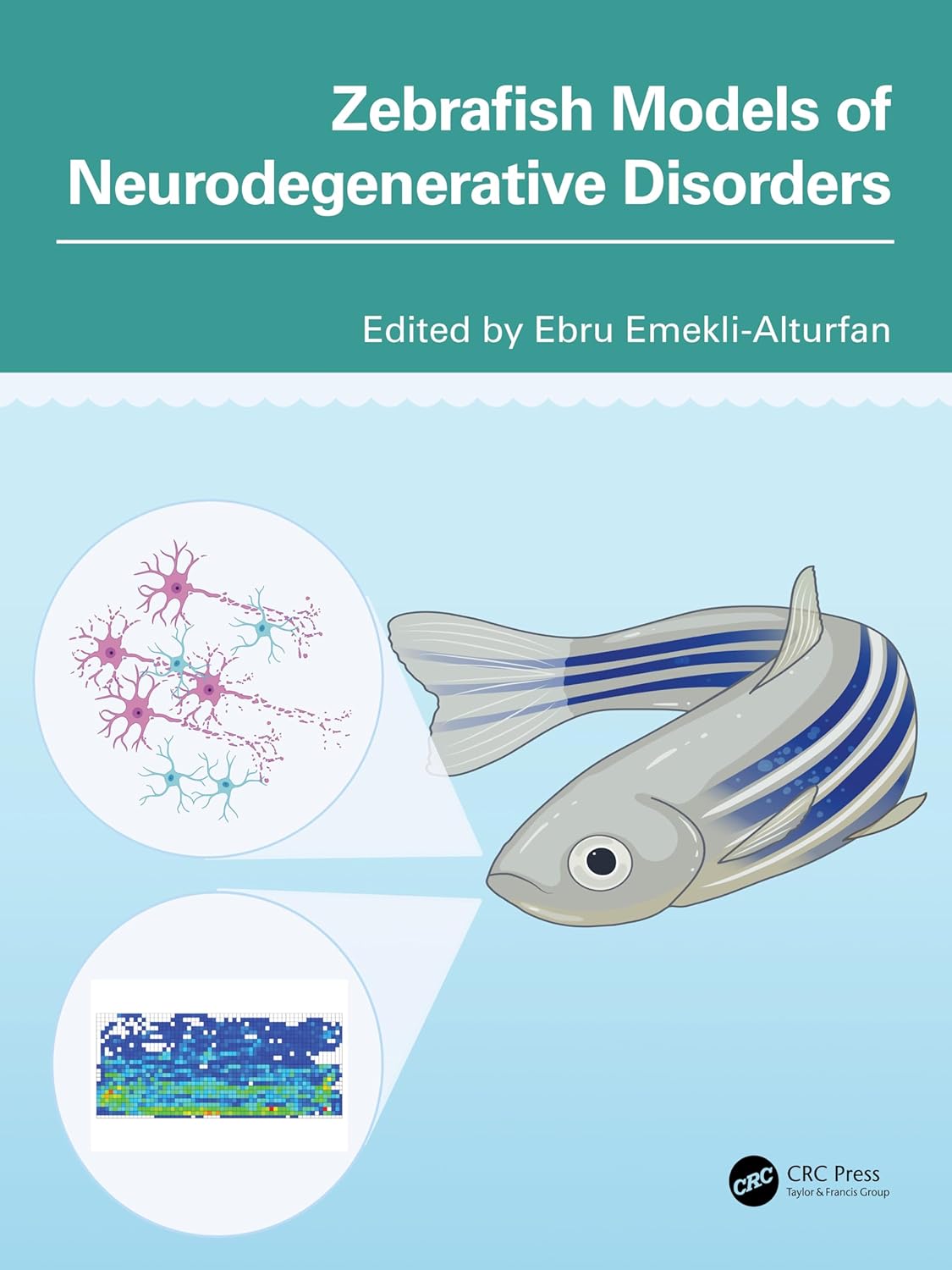 Zebrafish Models Of Neurodegenerative Disorders (Hb 2026)
