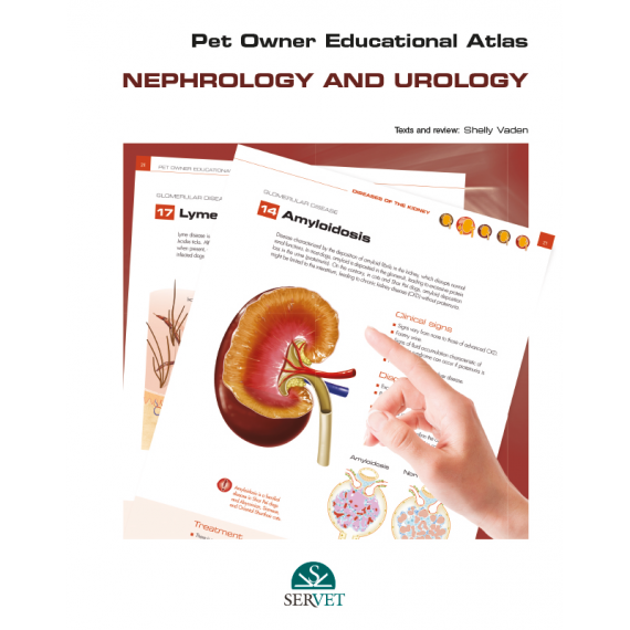 Pet owner educational atlas. Nephrology and urology