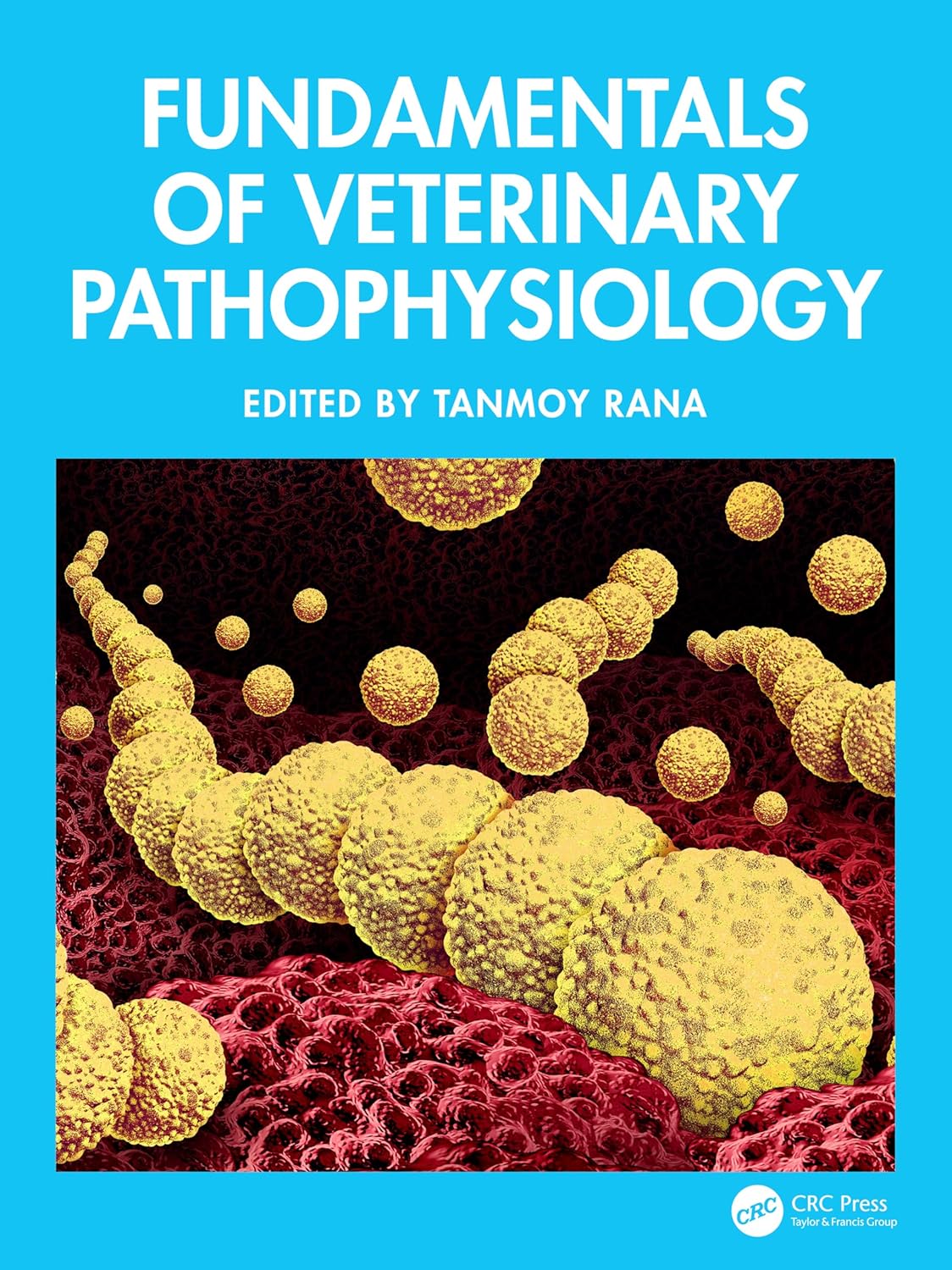 Fundamentals Of Veterinary Pathophysiology (Hb 2025)