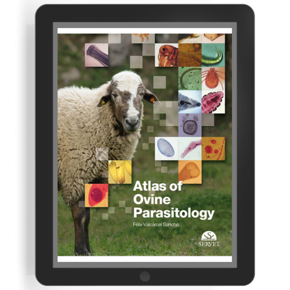 Atlas Of Ovine Parasitology (Hb 2013)