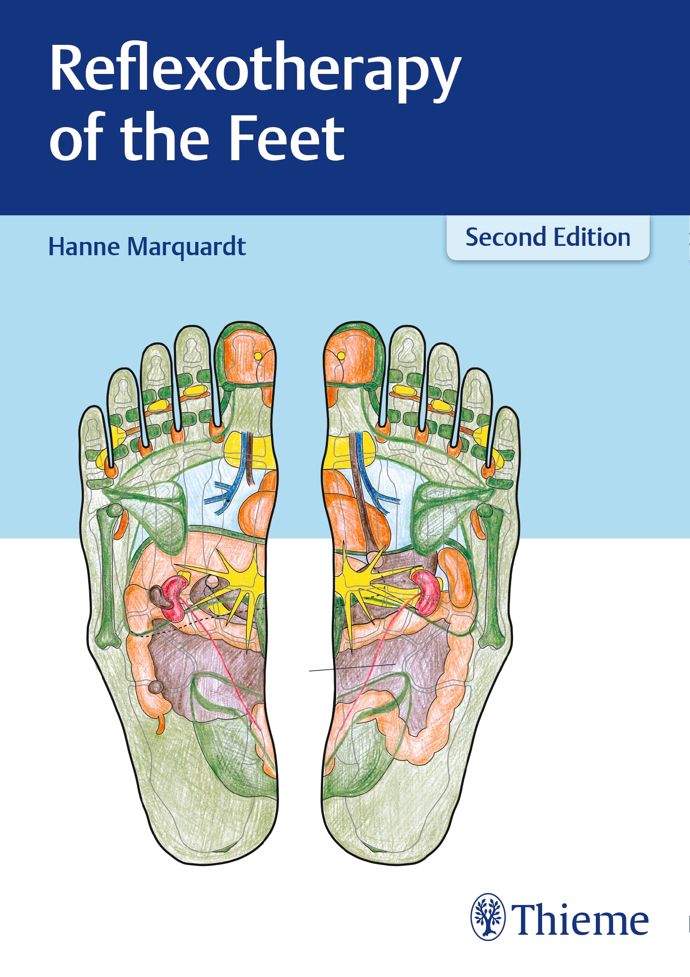 Reflexotherapy Of The Feet