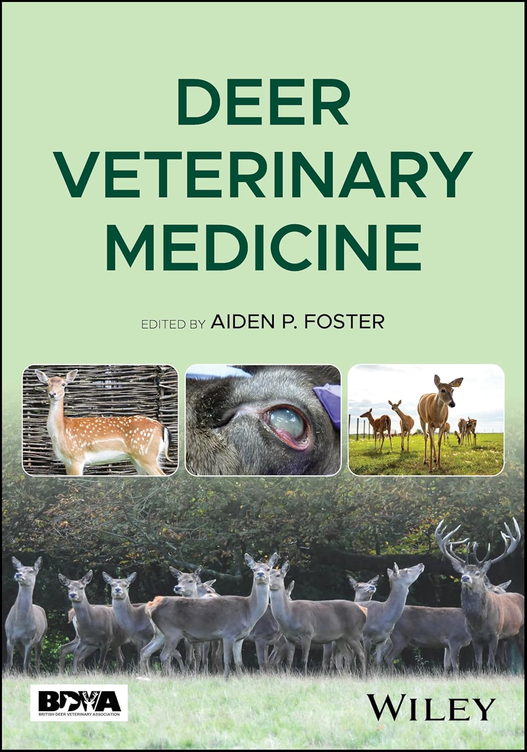 Deer Veterinary Medicine (Pb 2025)