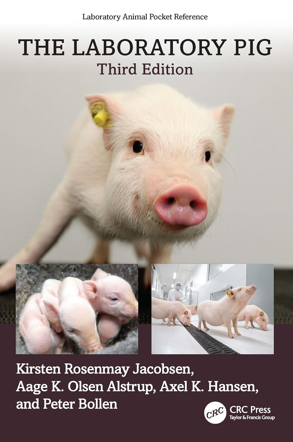 The Laboratory Pig 3Ed (Pb 2025)