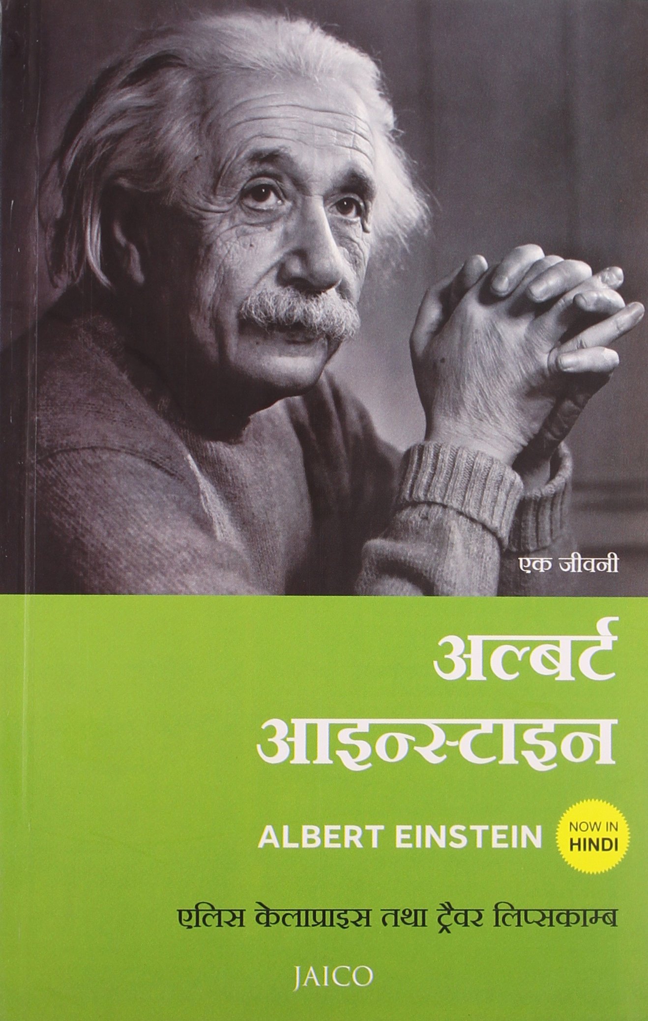 ALBERT EINSTEIN (HINDI)