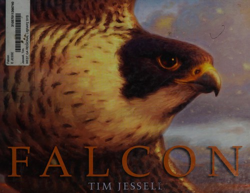 Falcon