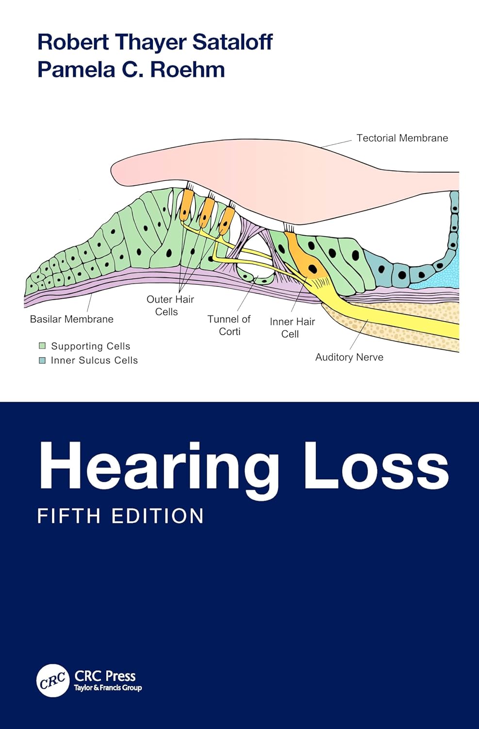 Hearing Loss 5Ed (Pb 2024)