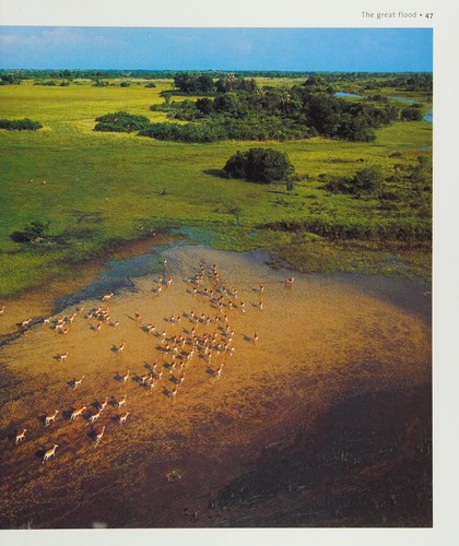 Nature's Great Events: The Pulse of the Planet
