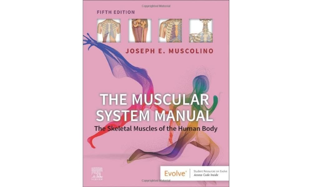 The muscular system manual the skeletal muscles of the human body with access code 5ed (pb 2024)