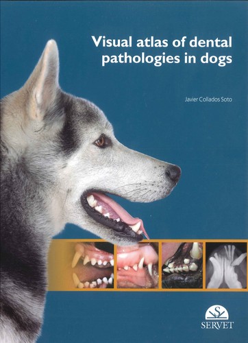 Visual Atlas of Dental Pathologies in Dogs