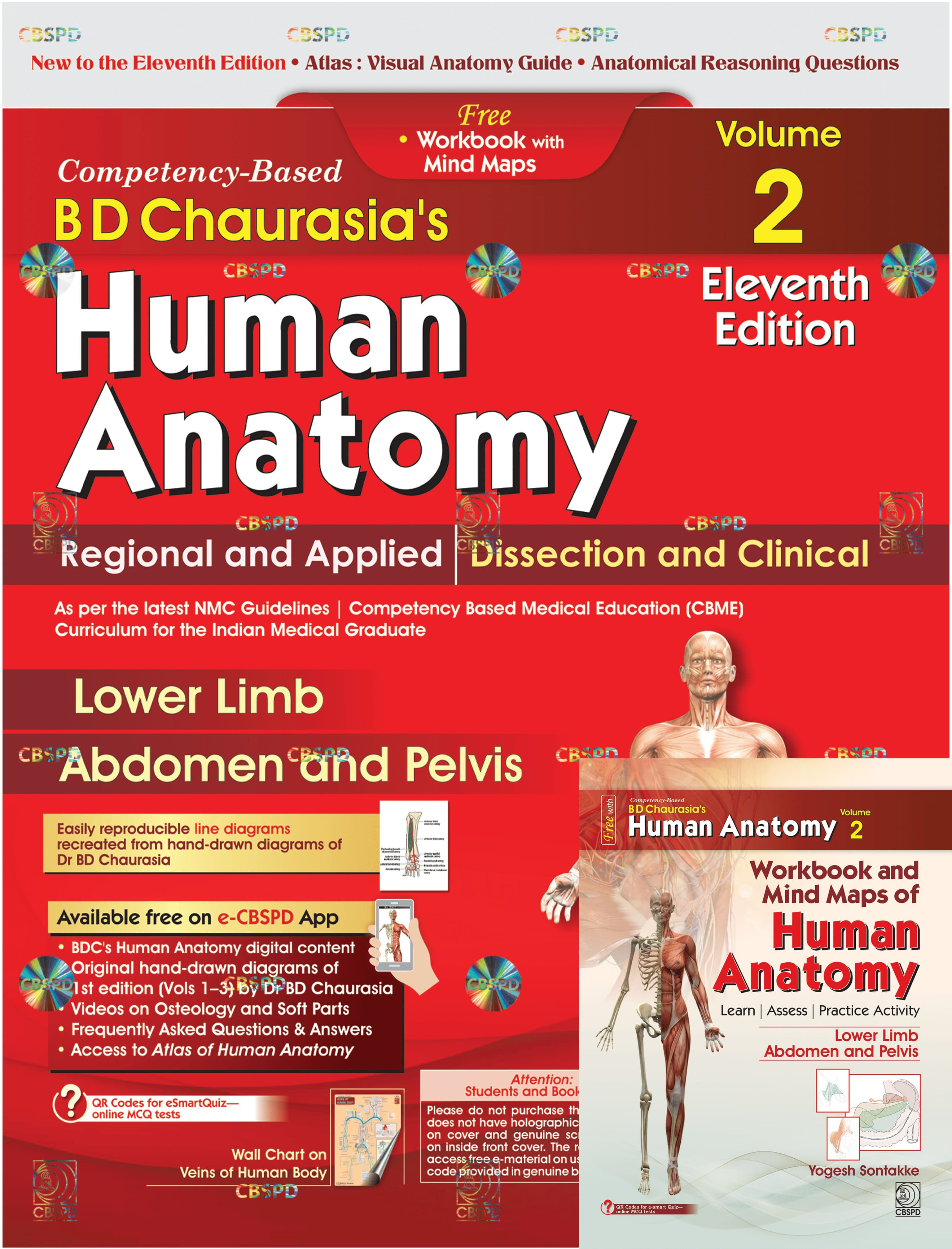 Cover of Competency–Based BD Chaurasia’s Human Anatomy: Regional and Applied; Dissection and Clinical (Vol.2) 11th edition 2027