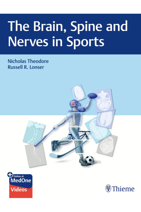 The Brain, Spine And Nerves In Sports