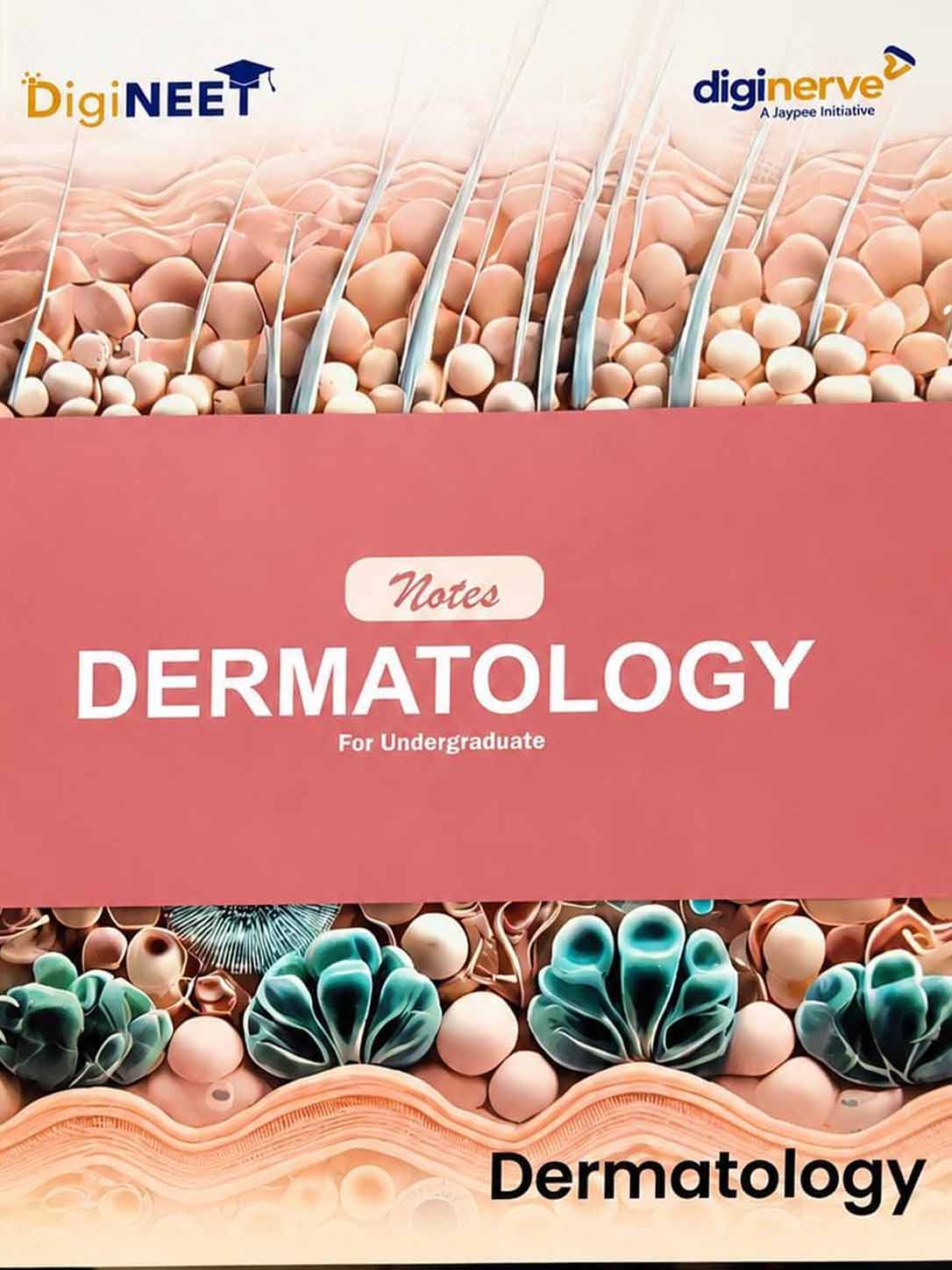 DERMATOLOGY NOTES FOR UNDERGRADUATES
