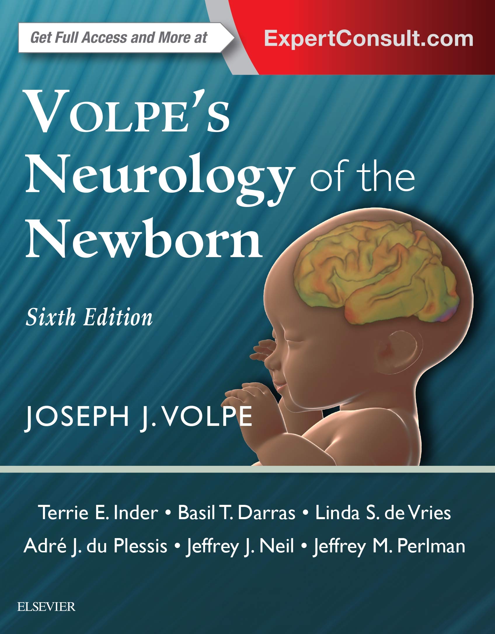 Volpe'S Neurology Of The Newborn, 6E